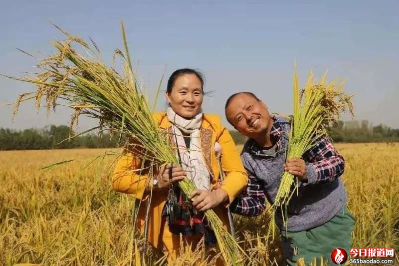 һ���r��40�f�����ל��N����(j��)��l(xi��ng)������ꄓ(chu��ng)�I(y��)�������ڡ�