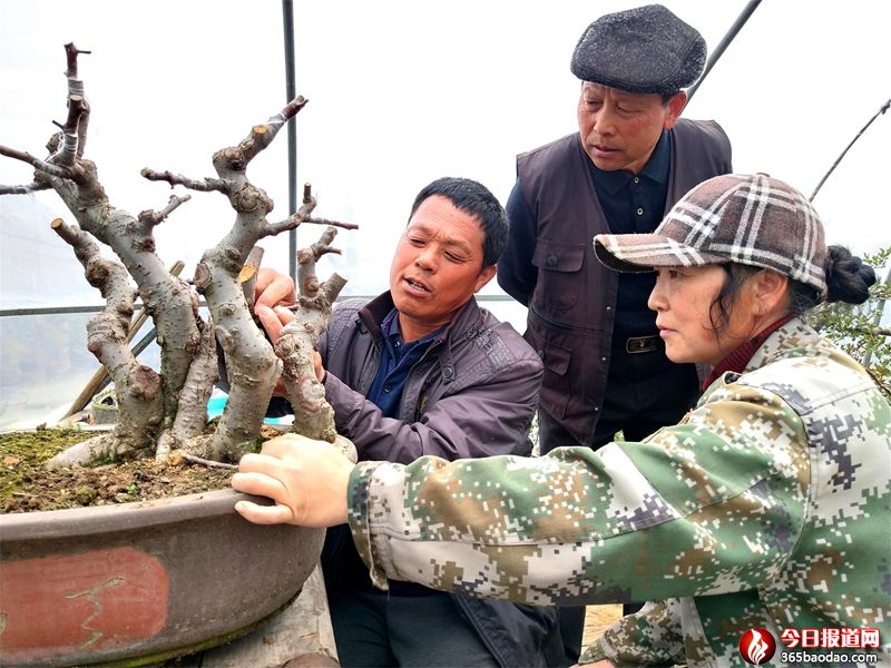 ɽ�|۰�ǣ���١�Ů�h�ӡ��ݎ��W�辰