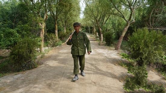 �½�8Ѯ���ˡ�ֲ�G����ͣЪ���ě]�ŗ�ֲ������