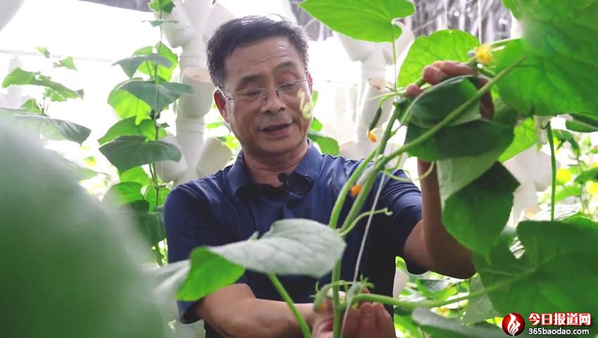 �l�����d�еĿƼ����ɆT�ܺ��ࣺ�_�µ������c����