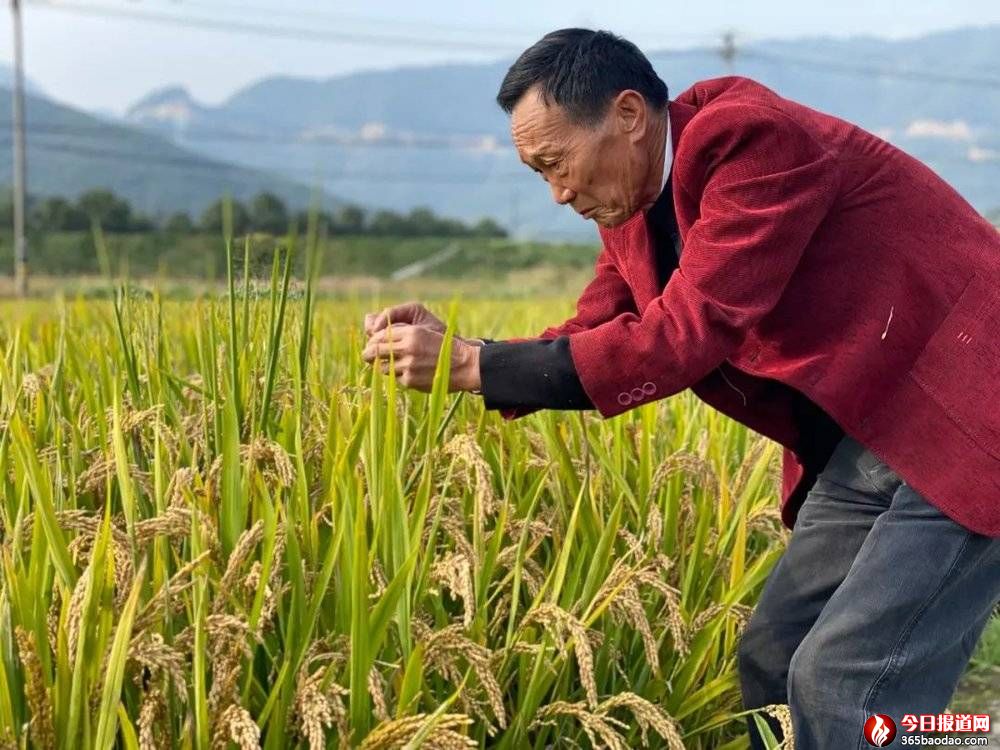  ���ء�ˮ�����ӡ������s������������ټ�