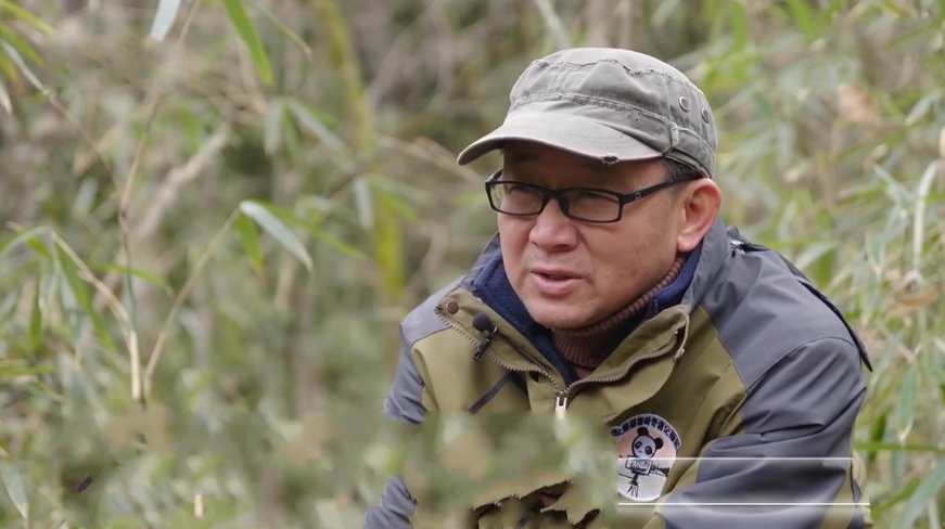 ��Ұ�Ǹ�ۙ�����ܰ�ҹ���L��Ұ���Ĕz16�� �Ᾱ����Ӱ���o(h��)��Ȼ