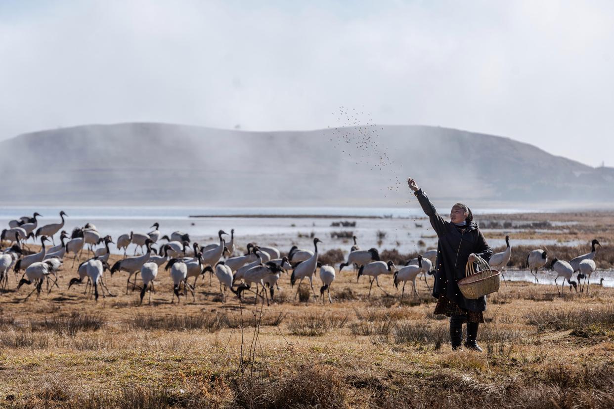 ��ԭ������ ���i�Q�����ĵط�