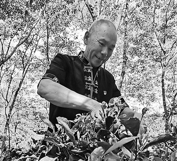 ȫ������������܊�ˡ����غͣ����I���lȺ�������¸�·