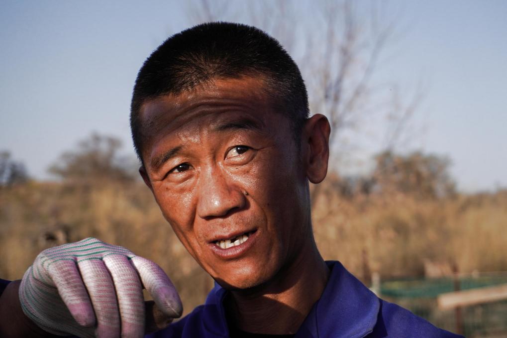 Ξ���ഺح���rɳ�����������桪���˲�ɳ��������ɳ�˹��t����ɳ����