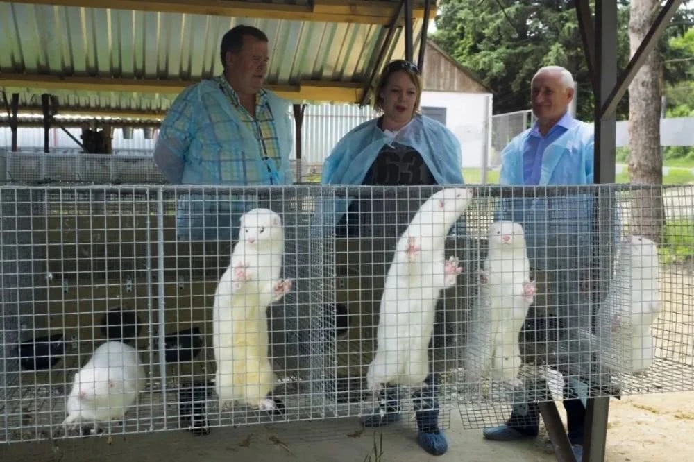 �|�����ǽ^��������ֱ������Ӱ���١����4�f���������\