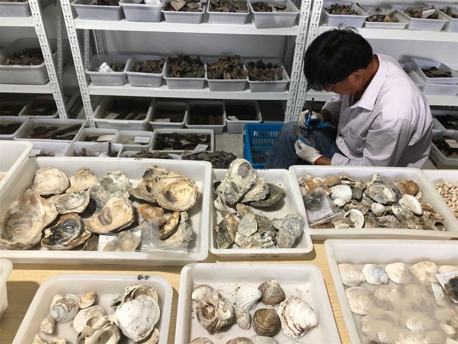 �㽭��Ҧ�l�F���ں�ķ���Ļ�1000���ʷǰ�zַ