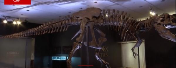 �������������������Ǽ����u�r2.16�|Ԫ�ɽ���ˢ������o�