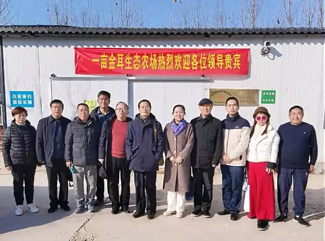 �¾�����