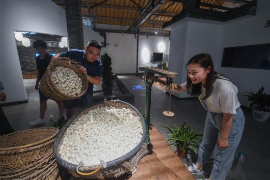 ���z�Ļ��^���c�n�����y�Ͻ�