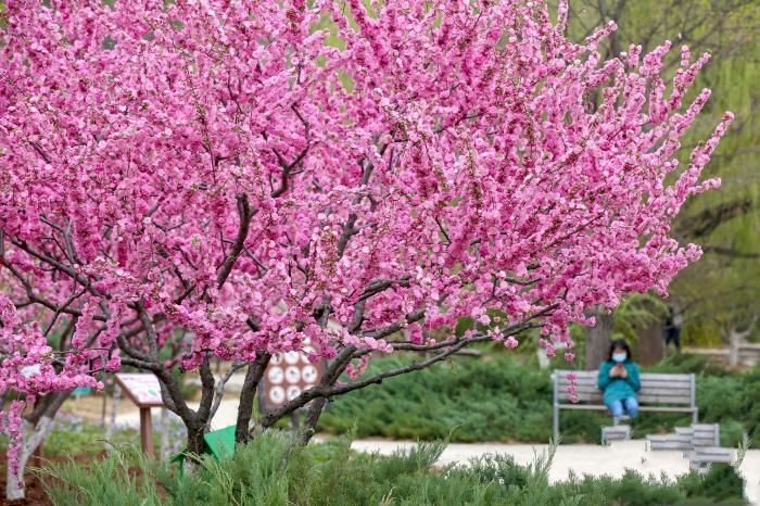 �ھŌñ���ɭ���Ļ����_Ļ ȫ���_չ200�����Ļ����