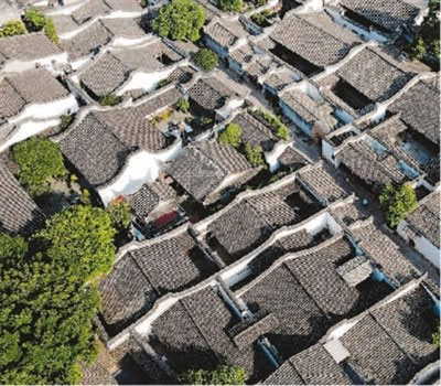 ���Ї������Ļ��z�a(ch��n)�A�����Ρ����Ӹ���