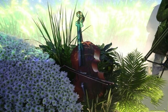 Ԭ¡ƽԺʿ�ǻ����Lɳ����