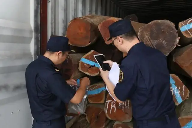 ���P�l����ȫ���״νث@�ڼ��tρ