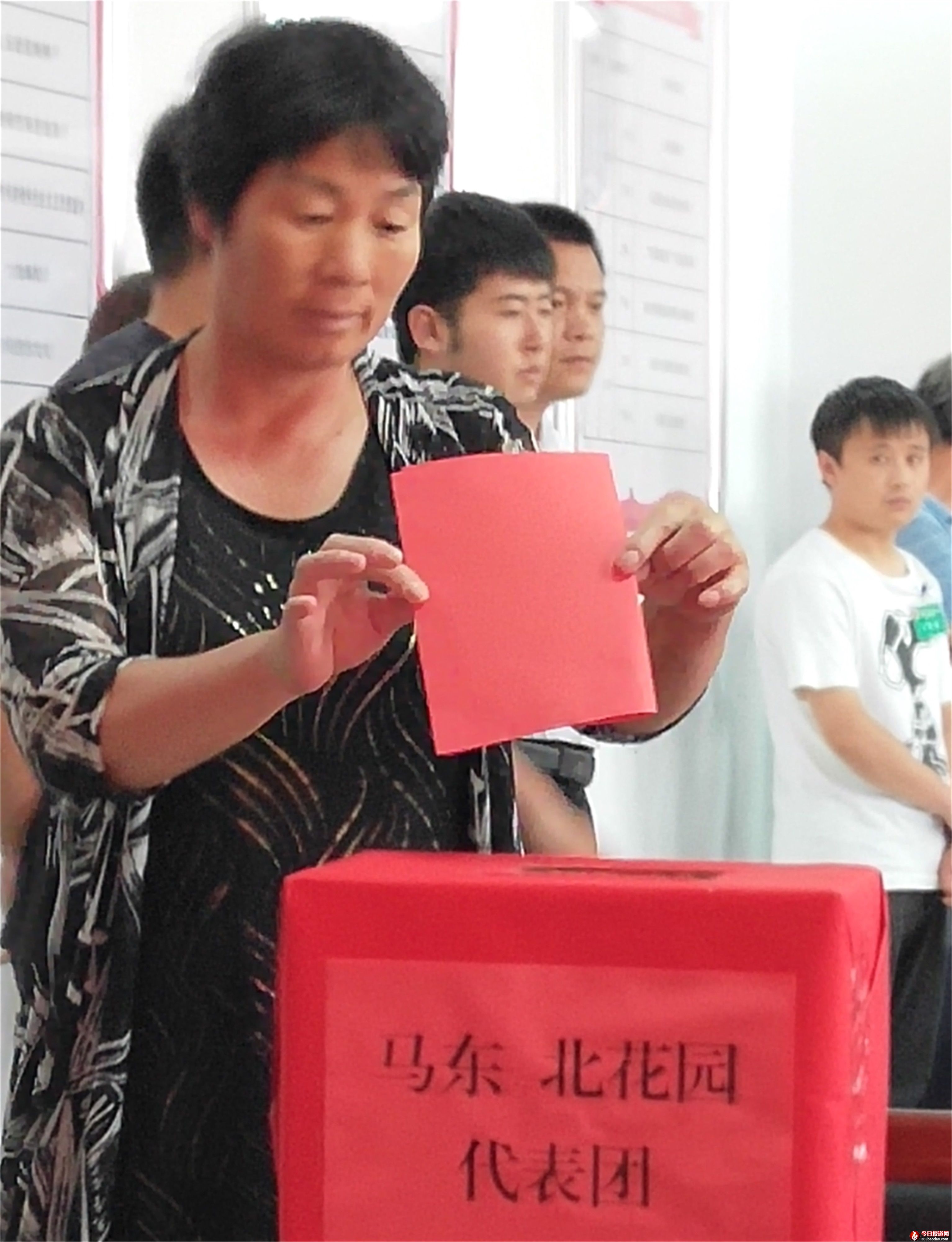 神圣一票 (1).jpg