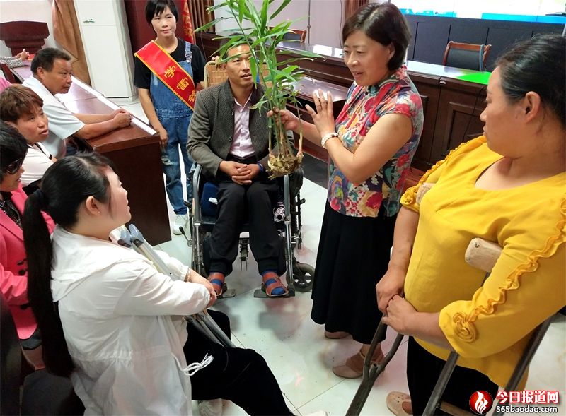 ɽ�|۰�ǣ��������M�����v�á����M�W���ü��g(sh��)