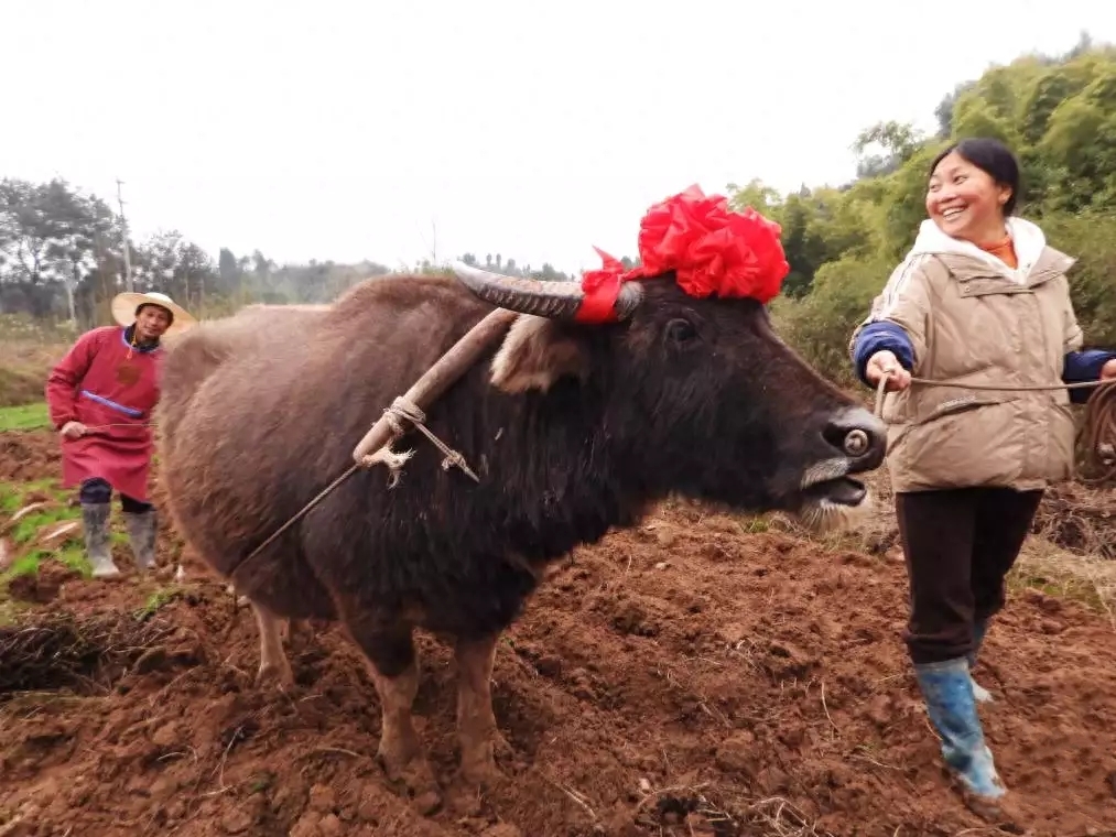 �������ӭ�´�