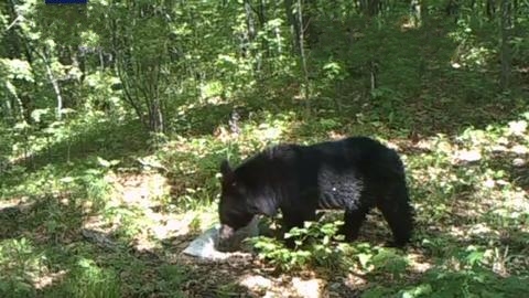 �҇��״ΰl�F�|�����Ժ��ܵ����FӰ����߀��ð����⡱