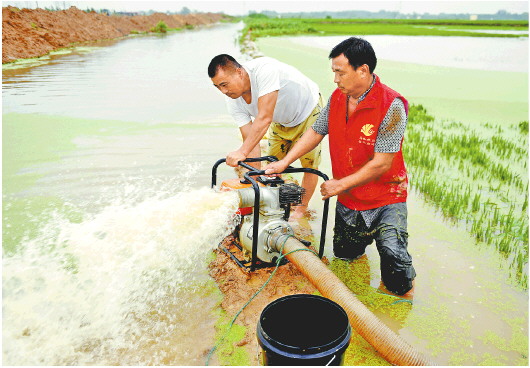 ��������30���x�� �����ɫ�A�����