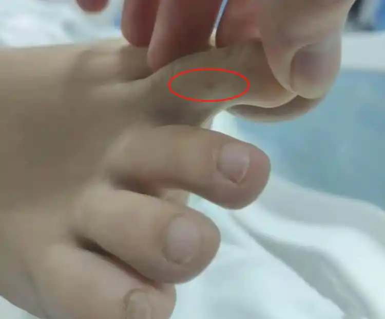 �ٷ������{(di��o)�顰27�qŮ�����������ɱ�������ҧ���������¼� �Ҍ٣�δ���п��]ʬ�z