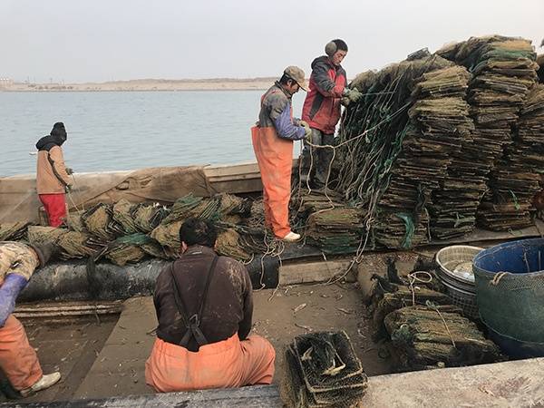 ����֮�µİ�������ɽ����O���A���{��