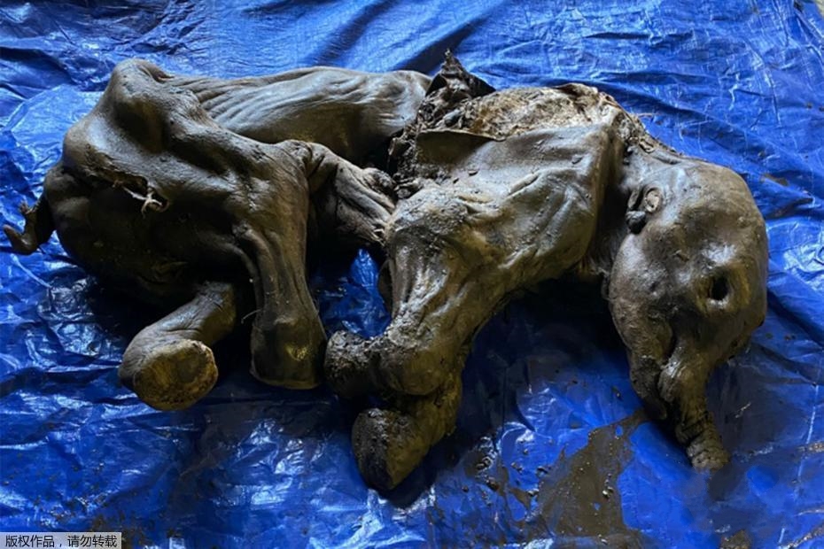 ���ô����3�f��ǰ�����������z�� ���w�M���������