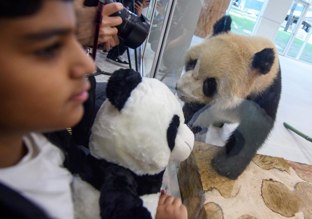 ��ֻ�Ї�����؈���_������