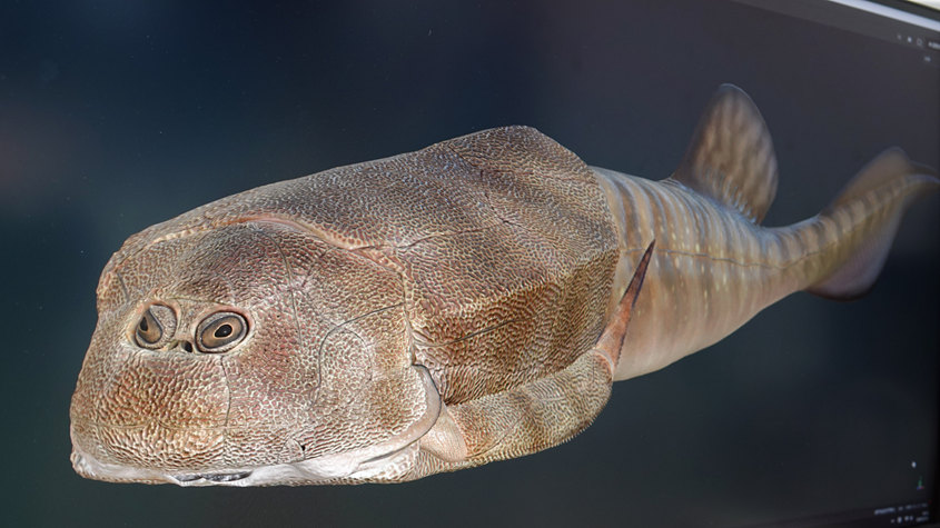 3.9�|��ǰ���齭Դ�^��һ�~���״ΰl�F �c���_��˹̹���[�~�ǡ����á�